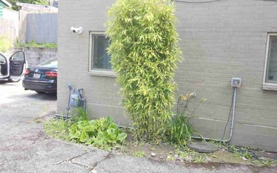 Photo of Keith S.'s yard after getting landscaping in North Bend, WA