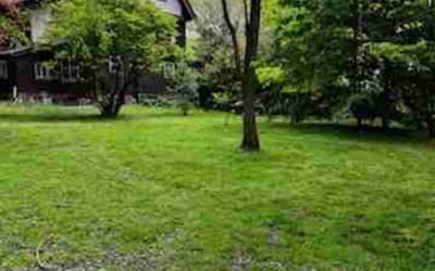 Photo of Scott T.'s yard after getting landscaping in Kittanning, PA