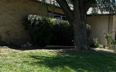Photo of Timothy J.'s yard after getting landscaping in Saint Hedwig, TX
