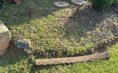 Photo of Ron S.'s yard after getting tree care in Woodstock, GA