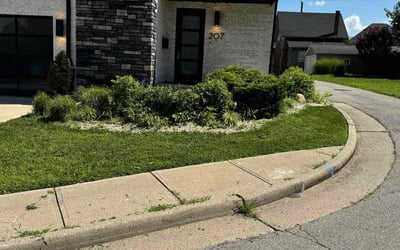Photo of Calvin A.'s yard after getting tree care in Newport, KY