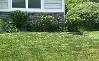 Photo of Jennifer B.'s yard after getting landscaping in Comstock Park, MI