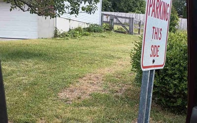 Photo of Calvin A.'s yard after getting tree care in Franklin, OH