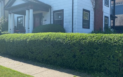 Photo of Robert G.'s yard after getting landscaping in Amsterdam, NY