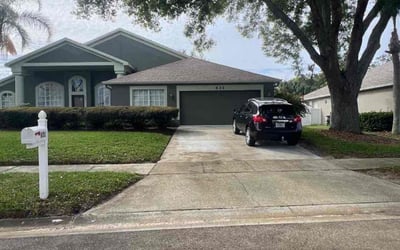 Photo of Emilia V.'s yard after getting tree care in Saint Cloud, FL