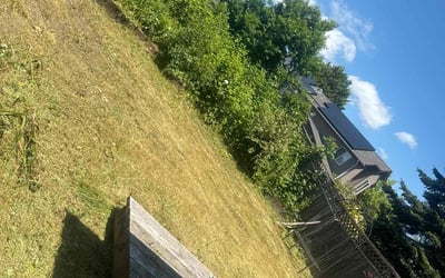 Photo of Mark C.'s yard after getting landscaping in Corvallis, OR