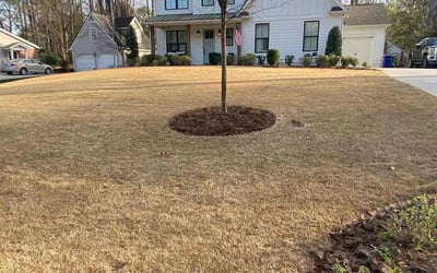 Photo of Donald F.'s yard after getting tree care in Buford, GA