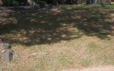 Photo of Christopher S.'s yard after getting landscaping in Glen Arm, MD
