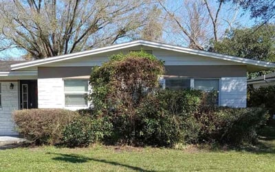 Photo of Michael L.'s yard after getting landscaping in Umatilla, FL
