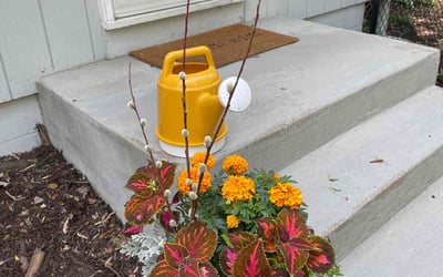 Photo of Chris M.'s yard after getting landscaping in Young America, MN