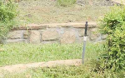 Photo of Jack H.'s yard after getting tree care in Decatur, TX