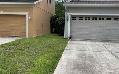 Photo of Lindsey L.'s yard after getting landscaping in Windermere, FL