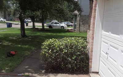Photo of Mary M.'s yard after getting landscaping in Sweeny, TX