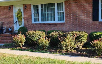 Photo of Susan M.'s yard after getting landscaping in Providence Forge, VA
