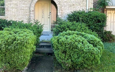Photo of Michael D.'s yard after getting landscaping in Lignum, VA