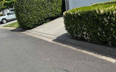 Photo of Robert B.'s yard after getting landscaping in Snohomish, WA