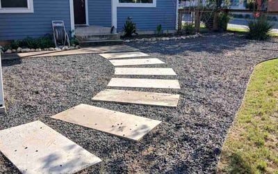 Photo of Emily D.'s yard after getting landscaping in Austin, TX