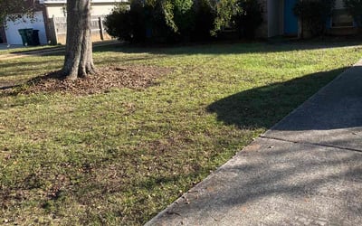 Photo of Michael J.'s yard after getting landscaping in Madisonville, LA