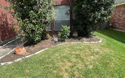 Photo of Nicholas N.'s yard after getting tree care in Rosenberg, TX