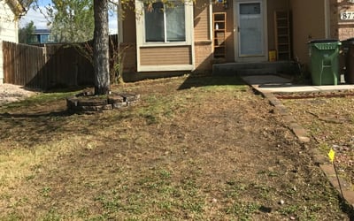 Photo of Amanda C.'s yard after getting landscaping in Cascade, CO