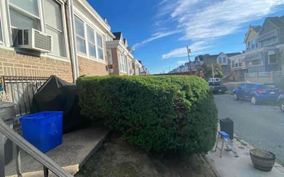 Photo of Carla S.'s yard after getting landscaping in Garnet Valley, PA