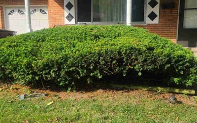 Photo of Robert H.'s yard after getting landscaping in Morning View, KY