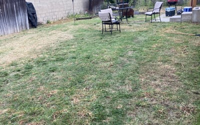 Photo of Anthony G.'s yard after getting landscaping in West Covina, CA