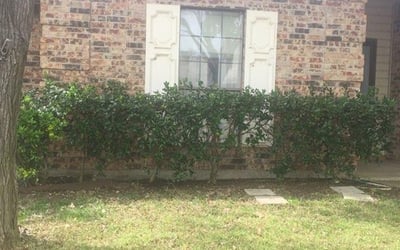 Photo of Matthew S.'s yard after getting landscaping in Sunnyvale, TX