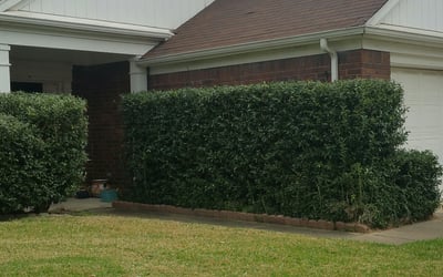 Photo of Paul S.'s yard after getting landscaping in High Island, TX