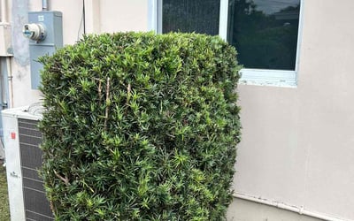 Photo of Joseph M.'s yard after getting landscaping in Hollywood, FL