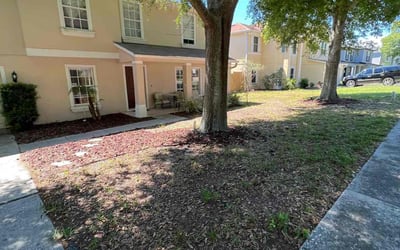 Photo of Brad C.'s yard after getting landscaping in Christmas, FL