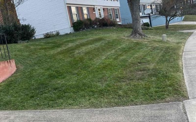 Photo of Samantha K.'s yard after getting landscaping in Goldvein, VA
