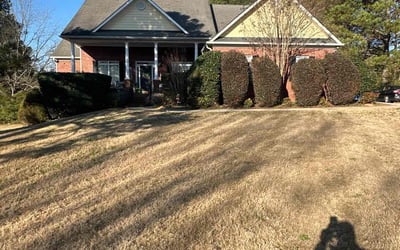 Photo of Chris M.'s yard after getting tree care in Auburn, GA
