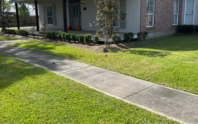 Photo of Derek S.'s yard after getting landscaping in New Roads, LA