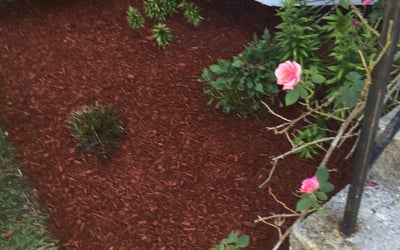 Photo of Sharon T.'s yard after getting landscaping in Cabin John, MD
