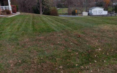 Photo of Gary W.'s yard after getting landscaping in Kearneysville, WV