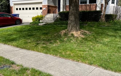 Photo of Heather C.'s yard after getting landscaping in The Plains, VA