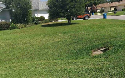 Photo of Katherine H.'s yard after getting landscaping in Aripeka, FL