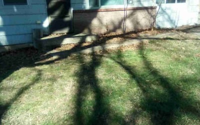 Photo of Patrick F.'s yard after getting landscaping in Parker, KS