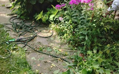 Photo of Rebecca F.'s yard after getting landscaping in Mooresville, IN
