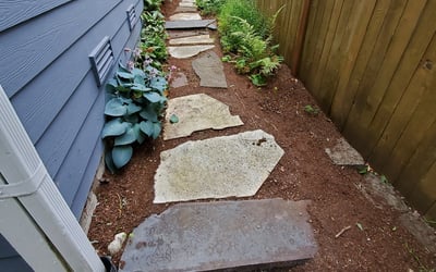 Photo of Tricia R.'s yard after getting landscaping in Medina, WA