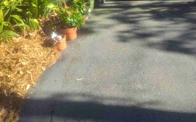 Photo of Beth W.'s yard after getting landscaping in Foley, AL