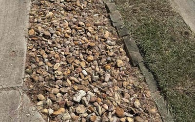 Photo of Sagar B.'s yard after getting tree care in Lindale, TX