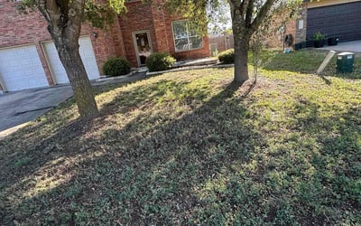 Photo of Tara S.'s yard after getting landscaping in Elgin, TX