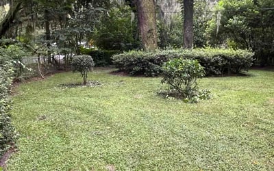 Photo of Mark F.'s yard after getting tree care in Cartersville, GA
