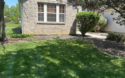 Photo of Deborah H.'s yard after getting landscaping in Lewis Center, OH