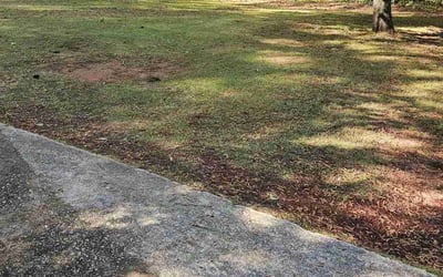 Photo of Chris S.'s yard after getting landscaping in Douglasville, GA