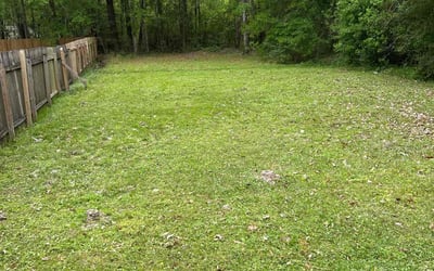 Photo of Amanda M.'s yard after getting landscaping in Madisonville, LA
