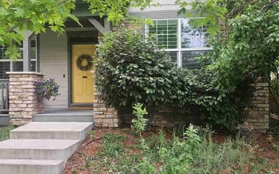 Photo of James L.'s yard after getting landscaping in Denver, CO