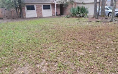 Photo of David D.'s yard after getting landscaping in Old Ocean, TX